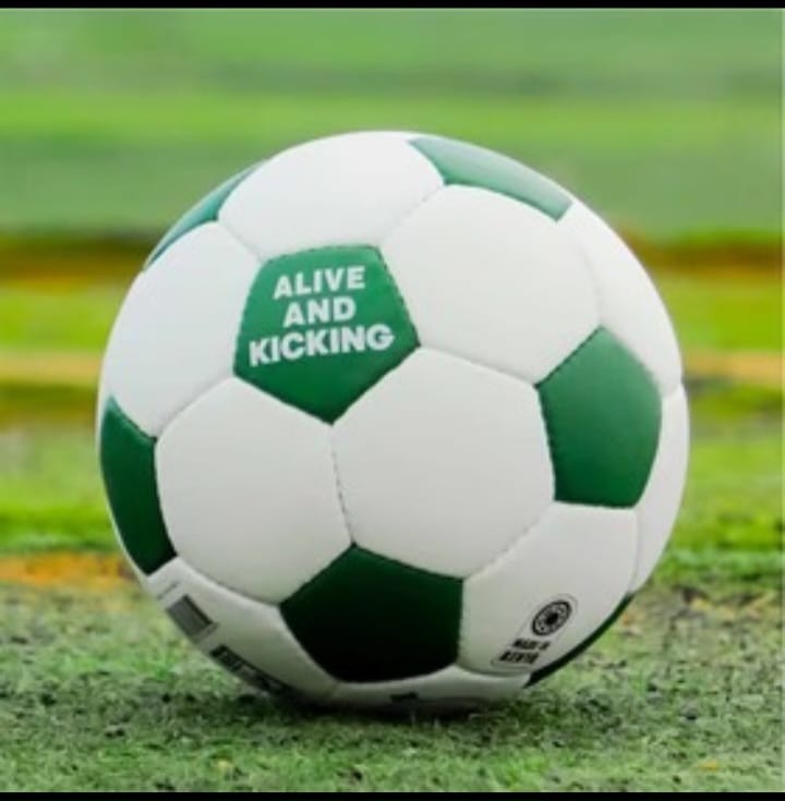 football Size 5 - Pigmented 